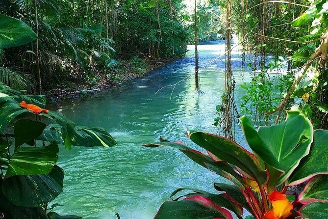 #1 Martha brea bamboo rafting - The Transportation: Comfort and Convenience