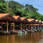 1 Night in Tortuguero + Tour to the Tortuguero National Park - What’s Included and What’s Not