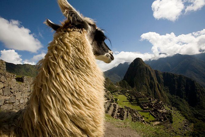 10-Day Taste Peru Experience: Lima, Nasca, Cusco & Machu Picchu. - Why This Tour Works Well for You