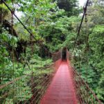 10 Days: Costa Rica Pure Nature - Who Would Love This Tour?