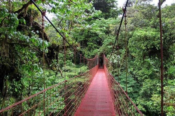 10 Days: Costa Rica Pure Nature - Who Would Love This Tour?