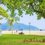10-hour beach tour Santos: Shared with Tickets & Lunch - Who Would Enjoy This Tour?