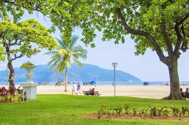 10-hour beach tour Santos: Shared with Tickets & Lunch - Who Would Enjoy This Tour?