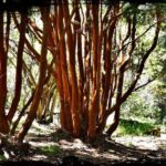 10 Secrets of Bariloche, Nahuel Huapi, and Patagonia - Final Thoughts: Is It Worth It?