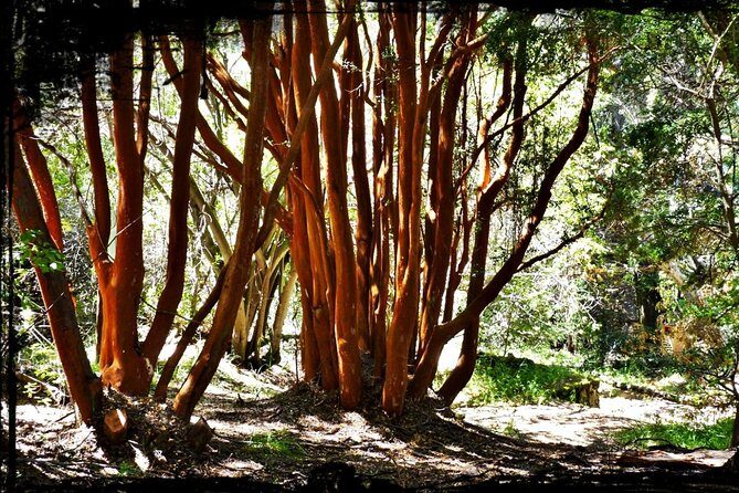 10 Secrets of Bariloche, Nahuel Huapi, and Patagonia - Final Thoughts: Is It Worth It?