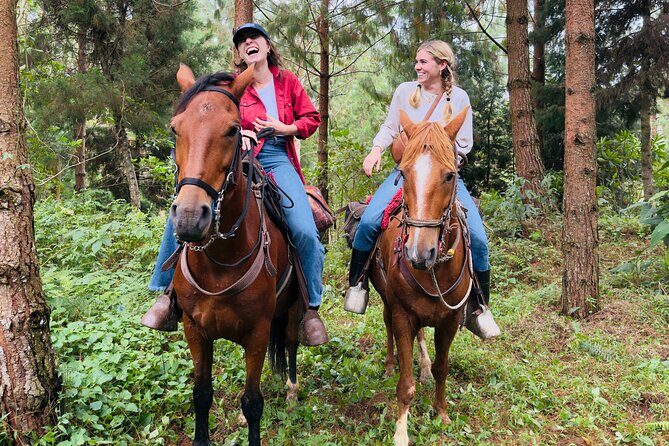 100-Year-Old family-run Finca: Horseback Riding & More - The Horseback Ride: Peaceful Trails, Stunning Views