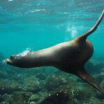 12-Day Galapagos Superior Adventure (Tourist Class) - What Sets This Tour Apart
