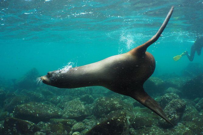 12-Day Galapagos Superior Adventure (Tourist Class) - What Sets This Tour Apart