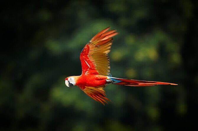 13 Days Exploring Ecuador Highlands and Rainforest - FAQs