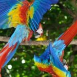 13 days: Jungle and Beach in Costa Rica - A Deep Dive Into the Itinerary