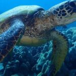 13 days program - Best Spots of Costa Rica - Who Is This Tour Best Suited For?