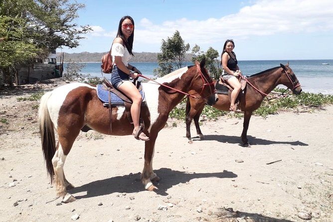 1,5 Hours Private Horseback Riding Tour in Playa Conchal - An In-Depth Look at the 1.5-Hour Horseback Riding Tour