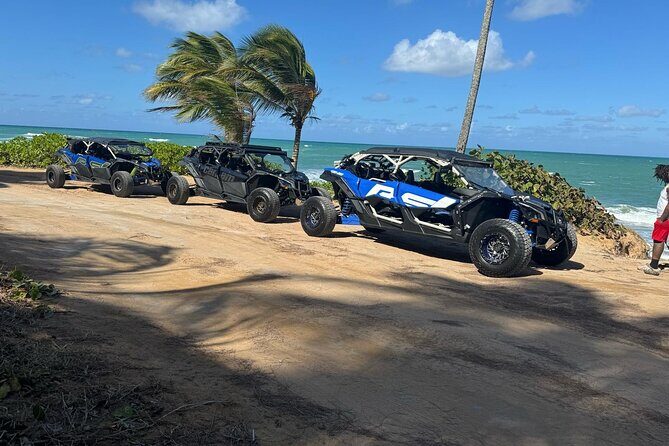 2.5 HR UTV Beach Tour - Who Will Love This Tour?