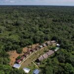 2-Day All Inclusive Guided Jungle Tour from Iquitos - Why This Tour Offers Great Value