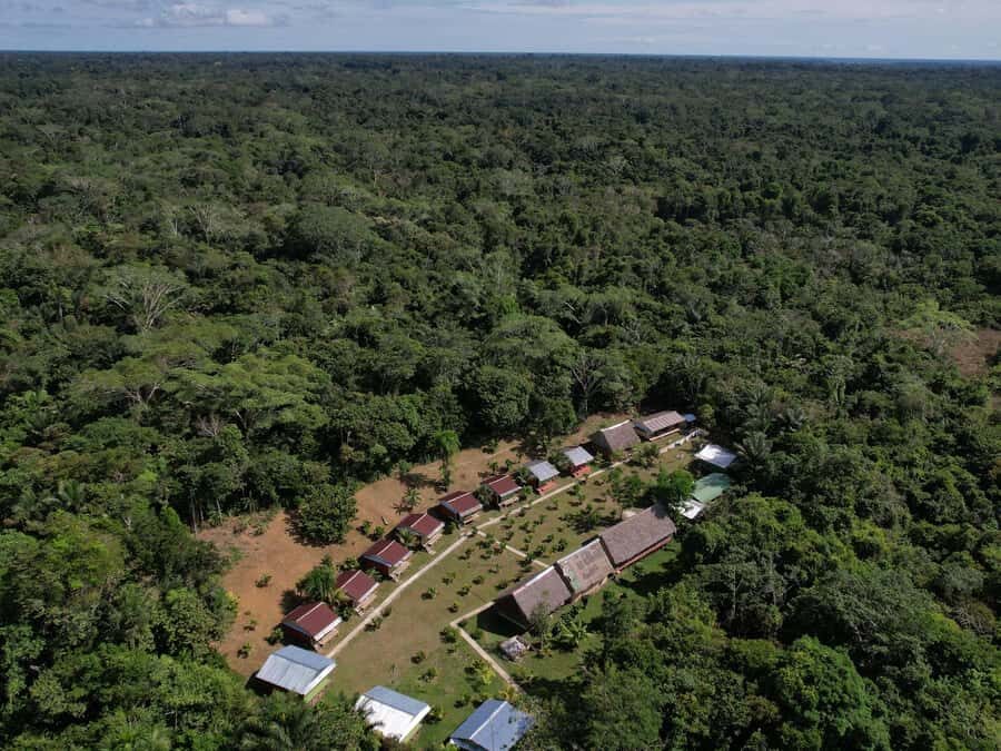 2-Day All Inclusive Guided Jungle Tour from Iquitos - Why This Tour Offers Great Value