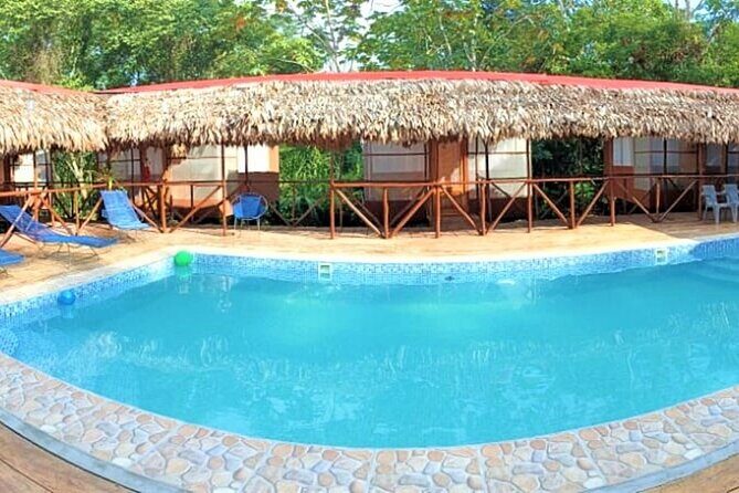 2-Day Amazon Jungle Tour at Avatar Amazon Lodge - Who This Tour Is Best For