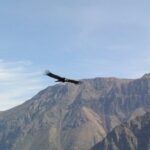 2-Day Colca Canyon Trek - Authentic Experiences and Practicalities