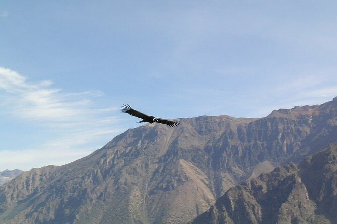2-Day Colca Canyon Trek - Authentic Experiences and Practicalities