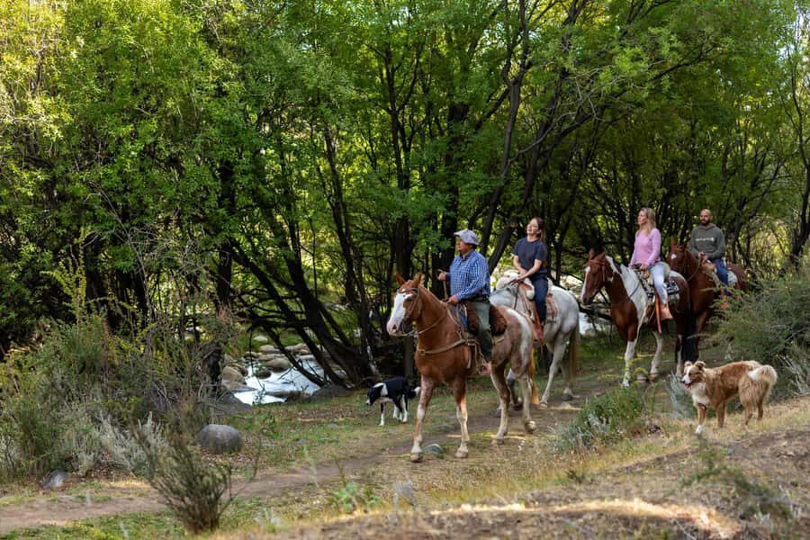 2-Day El Calafate Escape with Opt Airfare from Buenos Aires - What’s Included and What to Keep in Mind