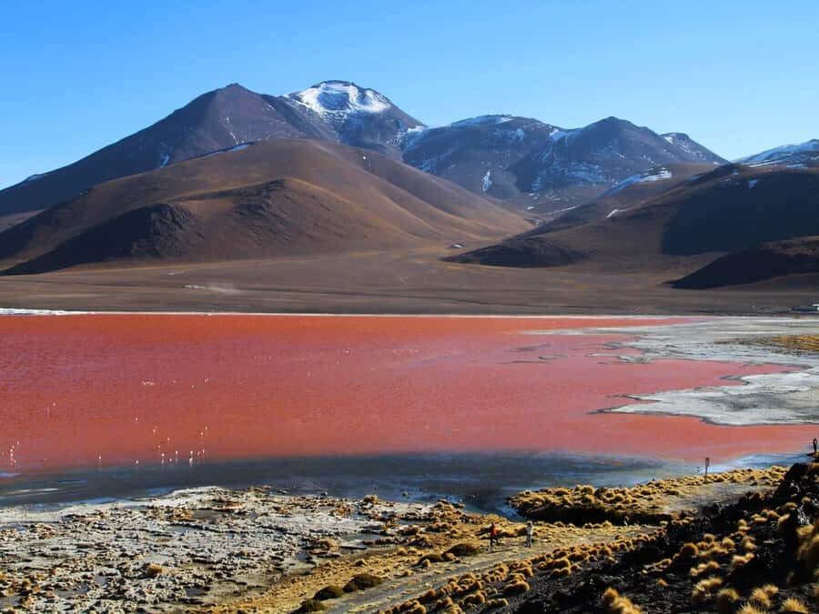 2-day excursion to the Salar de Uyuni - Day Two: Culture, Hot Springs, and Lagoons