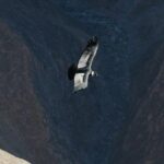 2-Day Group Tour to Colca Canyon from Arequipa to Puno - Practical Considerations and Possible Drawbacks