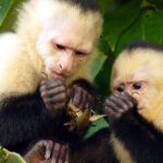 2 Day Private Tour in Tambopata Amazon - Who Should Book This Tour?