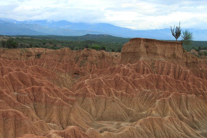 2-Day Private Tour to the Tatacoa Desert from Bogotá - Practical Tips for Your Trip