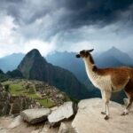 2-Day Short Inca Trail to Machu Picchu - Visiting Wiñay Wayna and the Sun Gate