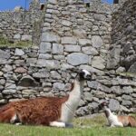 2-Day Tour at Sacred Valley and Machu Picchu by Train - Authentic Experiences and Practical Tips