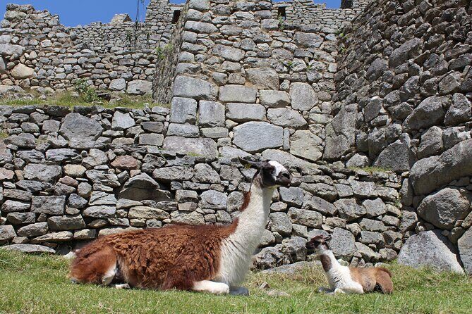 2-Day Tour at Sacred Valley and Machu Picchu by Train - Authentic Experiences and Practical Tips