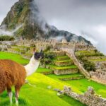 2-Day Tour from Cusco: Sacred Valley and Machu Picchu by Train - Final Thoughts