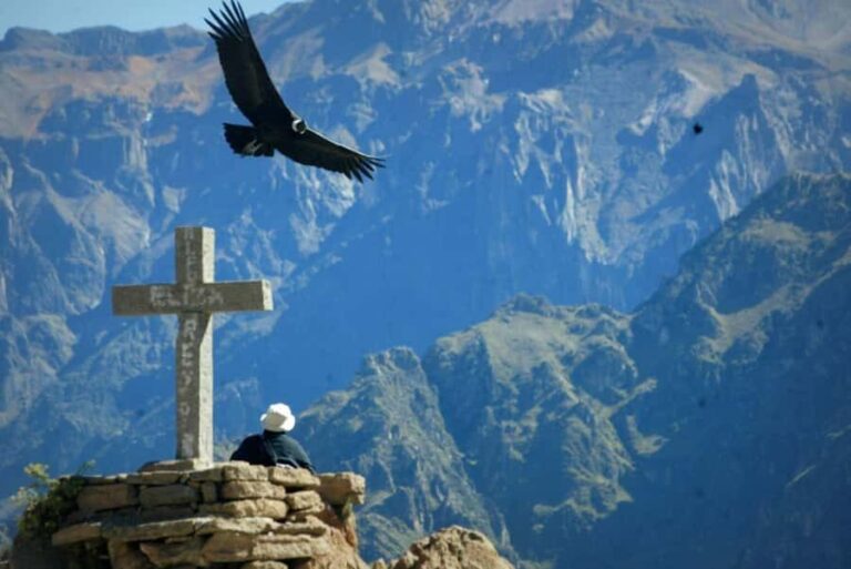 2-day tour to the Colca Valley and the Condor Cross - What to Expect from the Experience