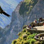 2-day tour to the Colca Valley and the Cruz del Condor - Final Thoughts