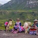 2-Day Tour to the Magical Colca Canyon - Transportation, Group Size, and Comfort