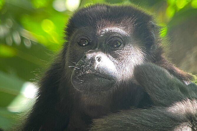 2 Days 1 Night Corcovado Jungle Adventure Sirena Ranger Station - An In-Depth Look at the Corcovado Jungle Adventure