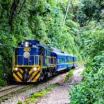 2 Days and 1 Night Machu Picchu Sunrise Tour by Train - Who Would Love This Tour?