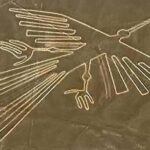 2 Days Experience in Paracas, Huacachina & Nazca Lines from Lima - Who Will Love This Tour?