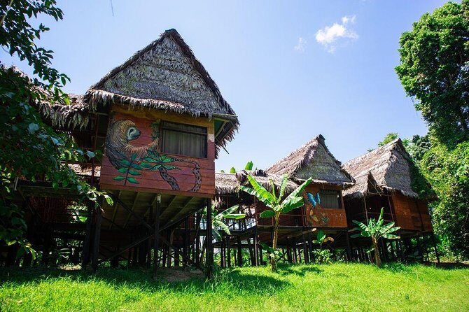 2 days Peruvian Amazon Tour from Iquitos - Final Thoughts: Is This Tour Right for You?