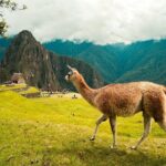 2 Days Short Inca Trail to Machu Picchu Small Group - A Deep Dive Into the 2-Day Short Inca Trail Experience