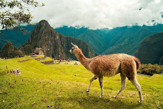 2 Days Short Inca Trail to Machu Picchu Small Group - A Deep Dive Into the 2-Day Short Inca Trail Experience