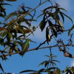 2 Days - Short Inca Trail to MachuPicchu - Who This Tour Is Best For