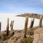 2-Days Uyuni Salt Flats including Laguna Colorada - Final thoughts