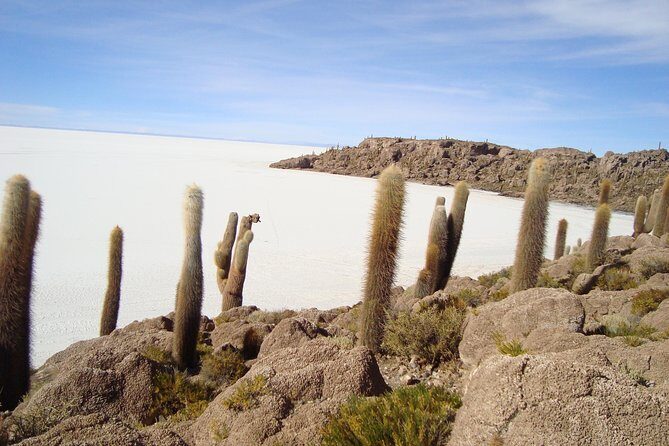 2-Days Uyuni Salt Flats including Laguna Colorada - Final thoughts