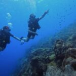2 guided shore dives in Curacao - Final Thoughts