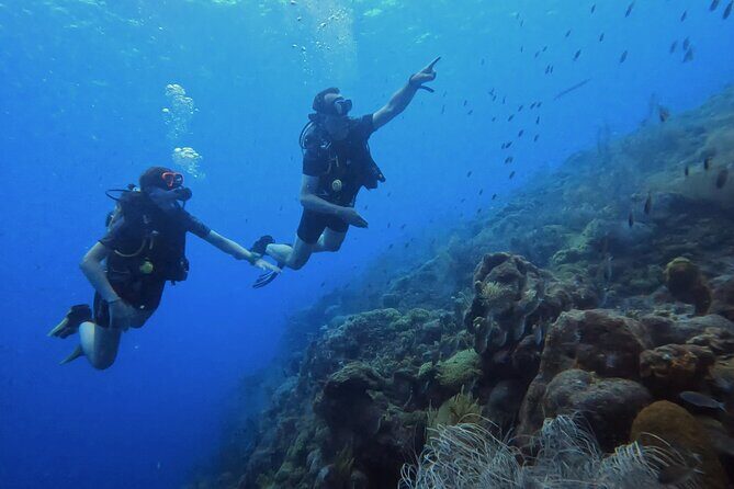 2 guided shore dives in Curacao - Final Thoughts