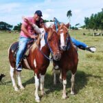 2-Hour Horseback Riding Tour at Sunset from Punta Cana - FAQ