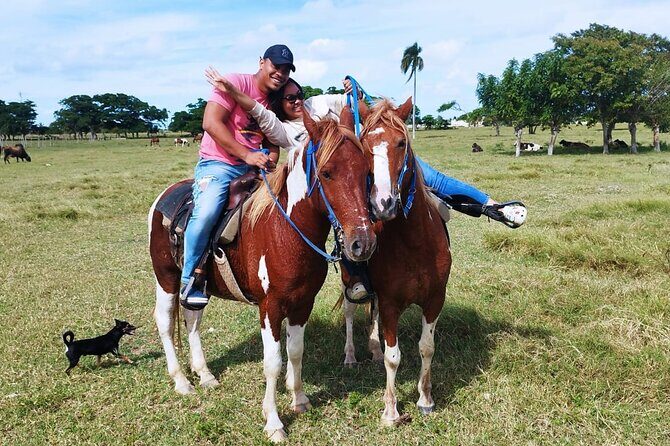 2-Hour Horseback Riding Tour at Sunset from Punta Cana