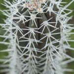 2 Hour Individual Island South Tour on Bonaire for 1 - 12 persons - Who Should Consider This Tour?