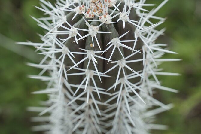 2 Hour Individual Island South Tour on Bonaire for 1 - 12 persons - Who Should Consider This Tour?