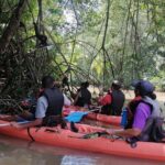 2-Hour Kayak Tour in Quepos - FAQ